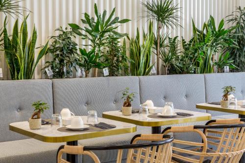 Best Western Premier Hotel Roosevelt - image 2