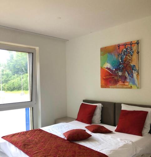 Swiss Star Home - image 11