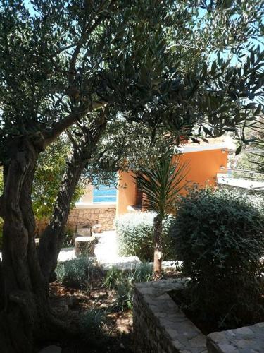 Apartments Villa Martina