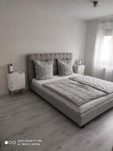 Ferienwohnungen Wilhelmshoher Allee - Kassel