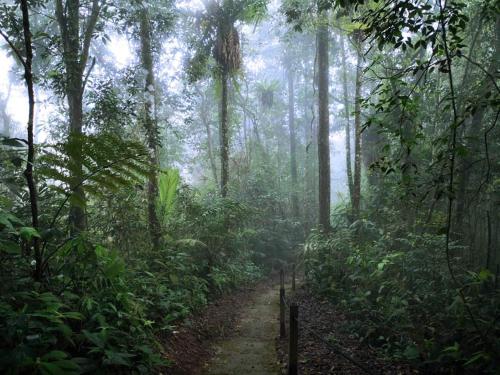 FH Comfy Home FH Comfy Home