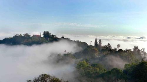 FH Comfy Home FH Comfy Home