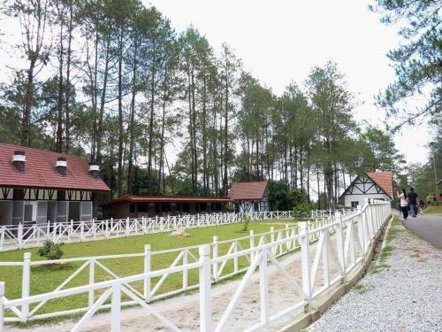 FH Comfy Home FH Comfy Home