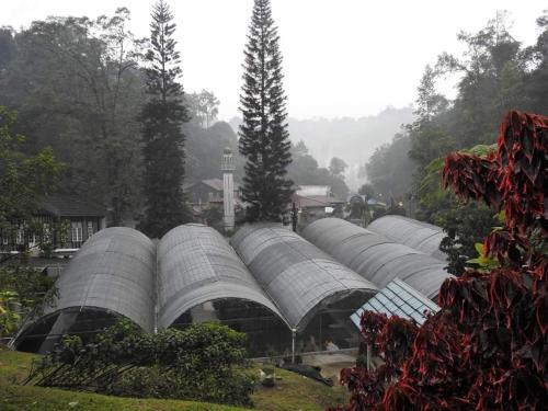 FH Comfy Home FH Comfy Home