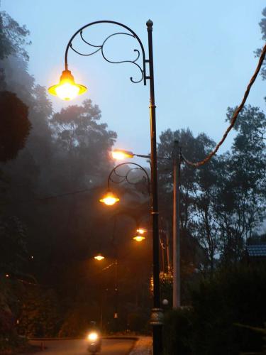 FH Comfy Home FH Comfy Home