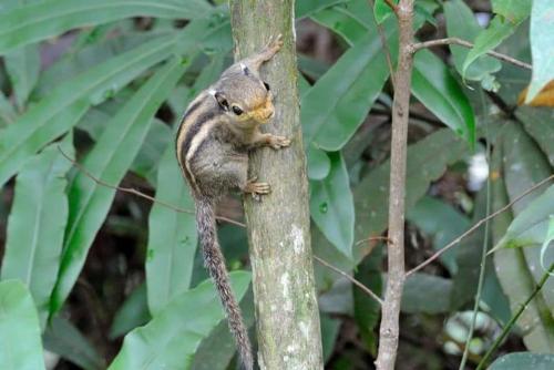 FH Comfy Home FH Comfy Home