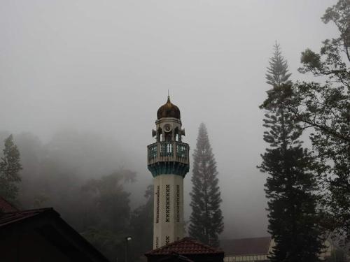 FH Comfy Home FH Comfy Home