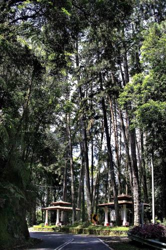 FH Comfy Home FH Comfy Home