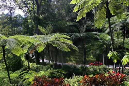 FH Comfy Home FH Comfy Home