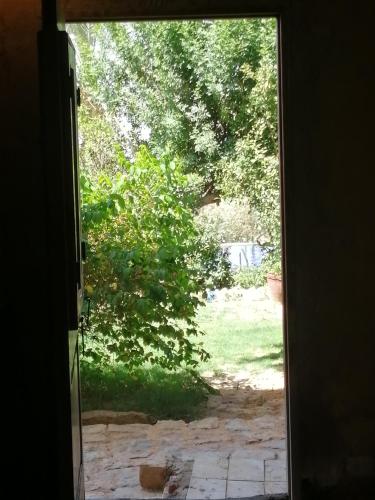 Restaurante, Studio in Byoum by Qaroun lake in Fayoum in Faiyum