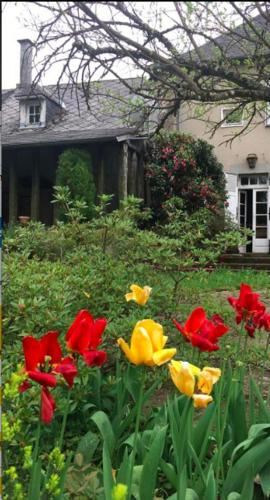 Maison Lyre, Pompadour - Chambre d'hôtes - Arnac-Pompadour