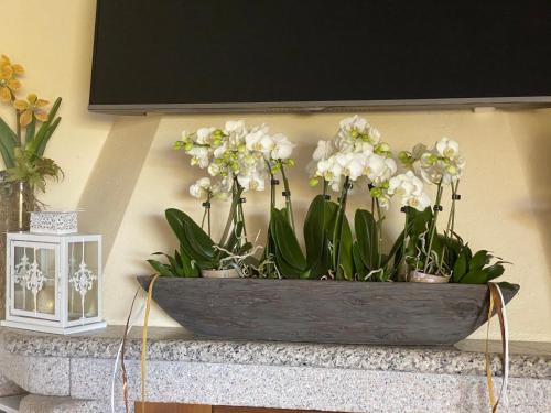 Bed and Breakfast Li Paduli Alvi – Cannigione, NJ