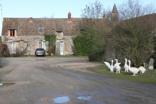 A la Ferme de la Joie - Chambres d'Hôtes chambre d'hôte Champcueil
