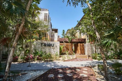 Casa Tribu Luum Zama