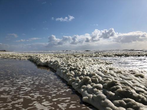 De Duinlopers- appt Zilt Zand- Strand, duinen en nabij cultuur steden