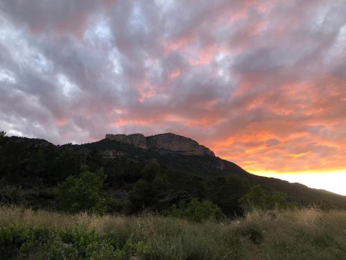 El Maset de la Montaña del Cocodrilo - image 6