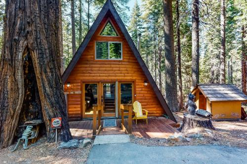 Entrada, Under The Trees in Sonora
