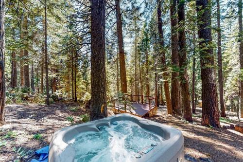 Under The Trees in Sonora