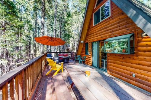 Under The Trees in Sonora