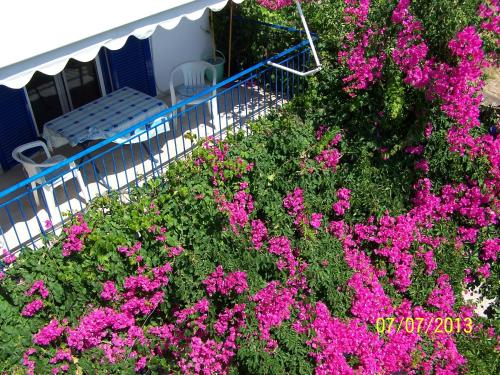 Hotels Image