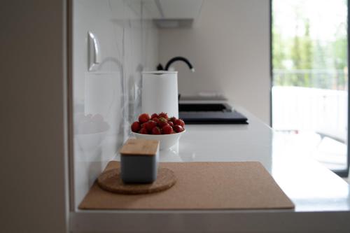 Altara Apartamenty Centrum - Free Parking, Zakopane (photo 7)