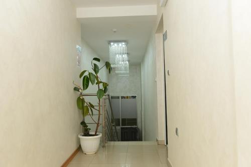 Hotel Sunce - image 2