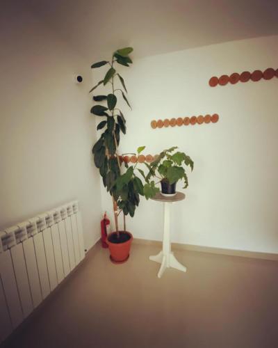 Maison Platanus - image 6