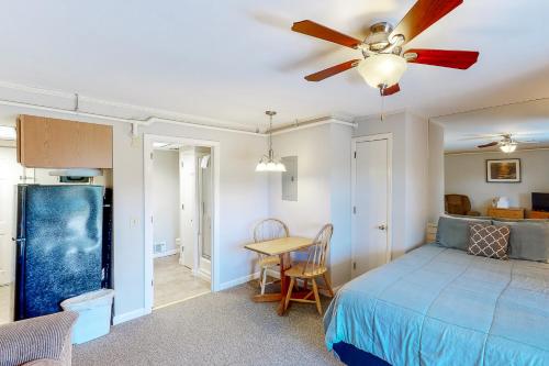 Mountainside Resort F102 - image 6
