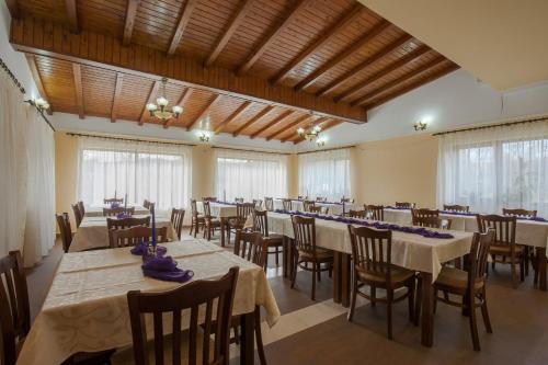 Pensiunea Victoria - image 12