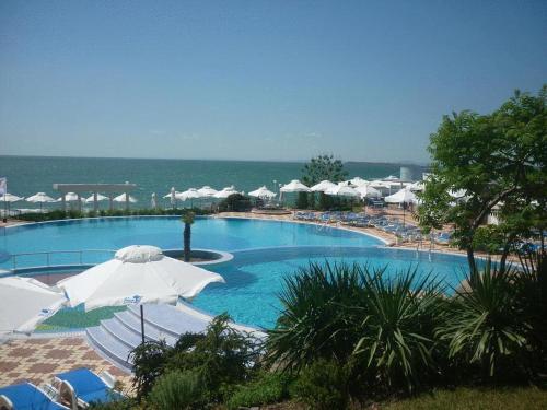 2588529 Sineva Beach Hotel - All Inclusive
