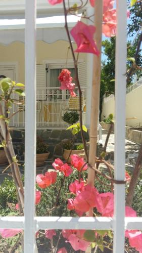 NN Spata Rooms & Suites near Athens airport 4