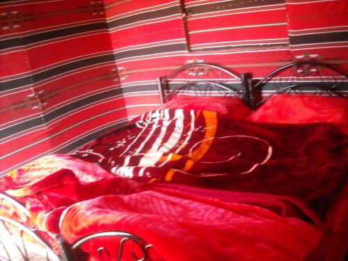 Family Tent image 5