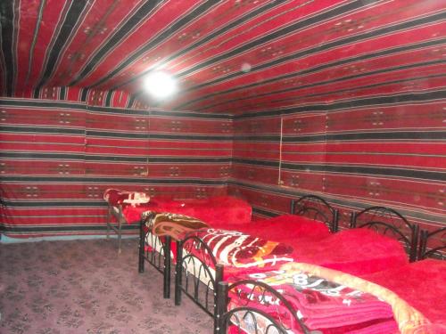 Quadruple Tent image 4