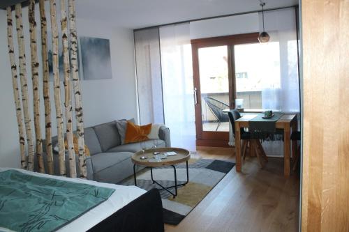 1-Zimmer-Apartment mit großem Balkon