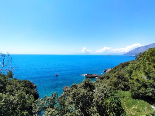 Judia Camere sul mare - image 7