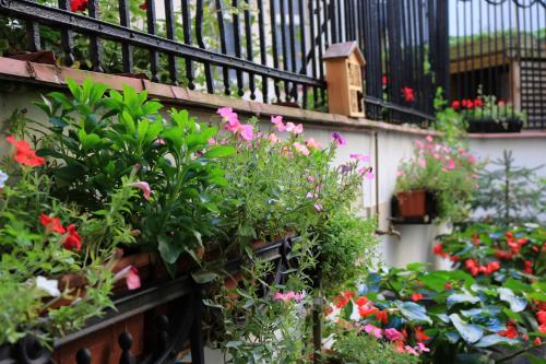 Chopin Boutique B&B - main image