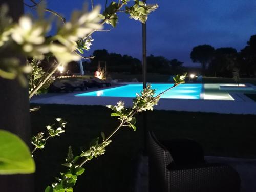 PÉROLA d'ÓBIDOS T3 - image 7