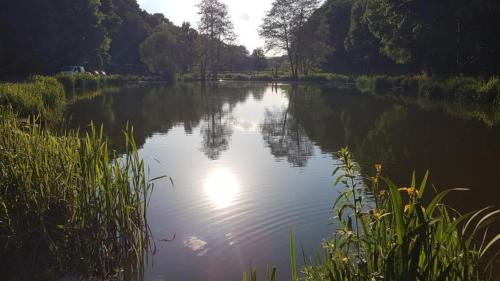 Barlow Country Club - Mill Farm Cottages - image 5