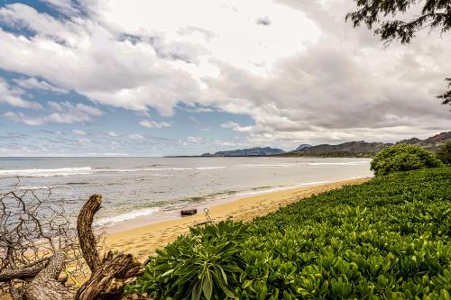 Islander on the Beach