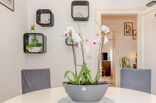 Split Apartment Worek, Split (fotografie 9)