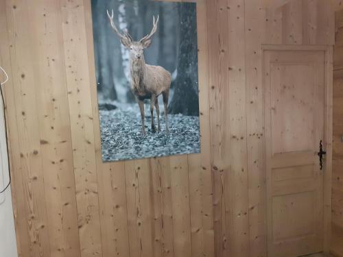 chalet le plan du rtia