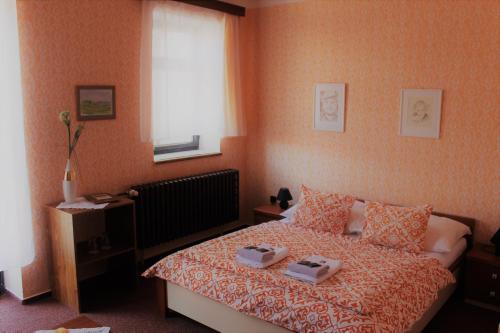 Hotel Panský Dům Žamberk - image 4