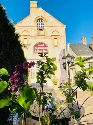 photo chambre Le Cheval Blanc