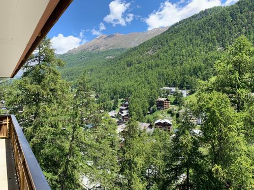 Appartements Zermatt Paradies - image 13