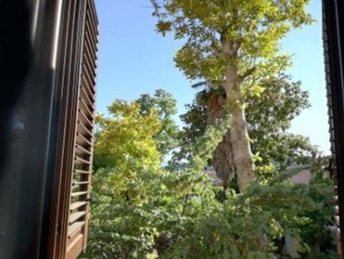  B&B DUOMO, Pension in Benevento