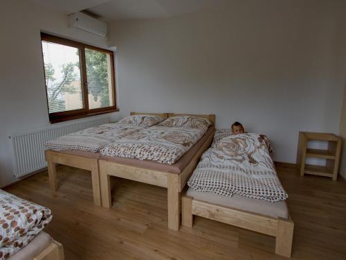 Apartmány Bejby Turnov