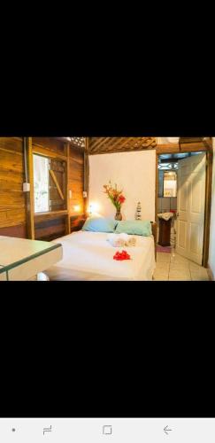 Puerto Viejo de Talamanca Hostal Cecilia 3-Star Hotel suite