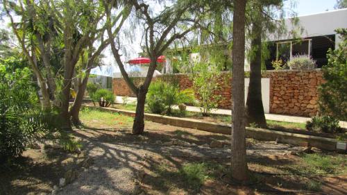 Villa Ca Daniela - image 2
