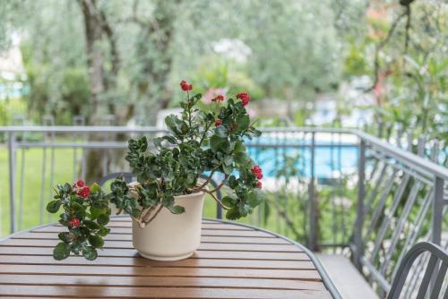 appartamento casa stefi n1 - Apartment - Malcesine