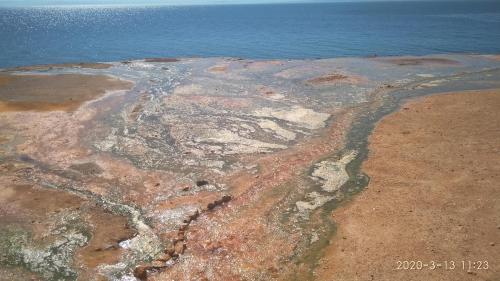 Palatino - image 2